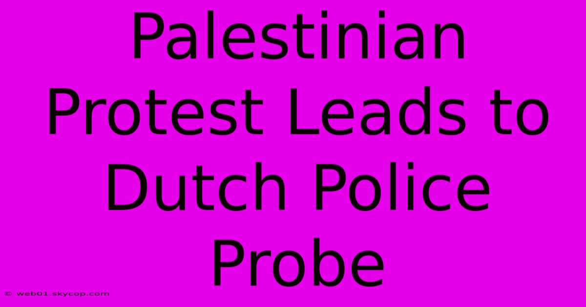 Palestinian Protest Leads To Dutch Police Probe