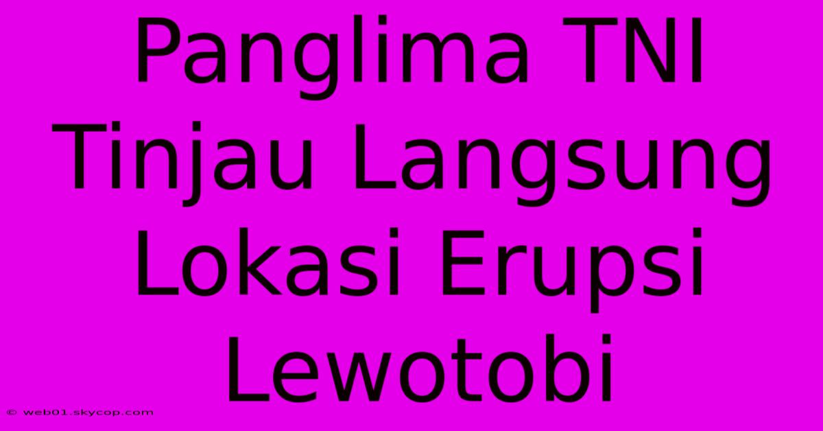 Panglima TNI Tinjau Langsung Lokasi Erupsi Lewotobi