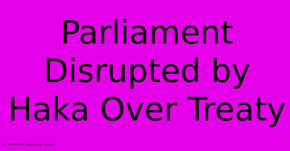 Parliament Disrupted By Haka Over Treaty