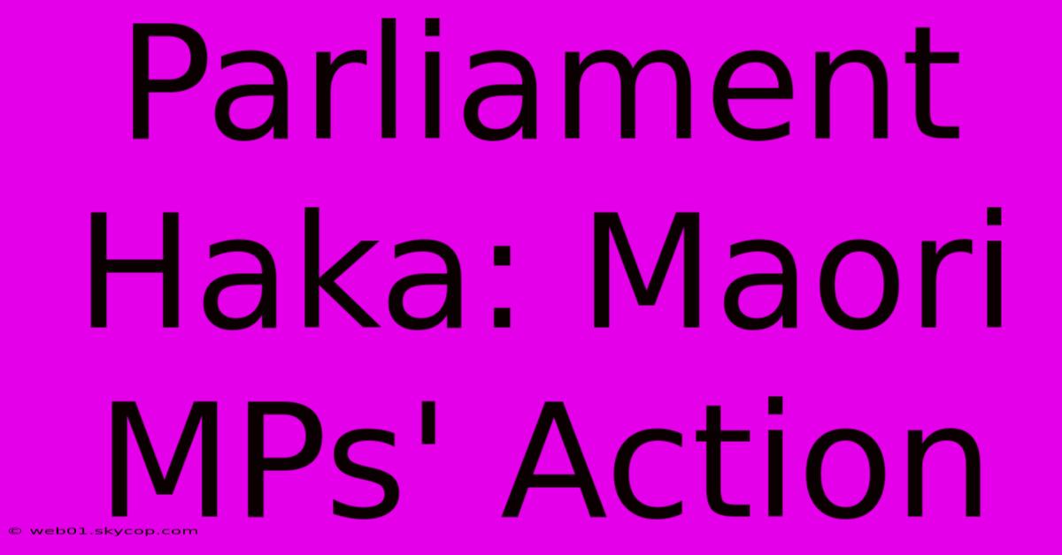 Parliament Haka: Maori MPs' Action