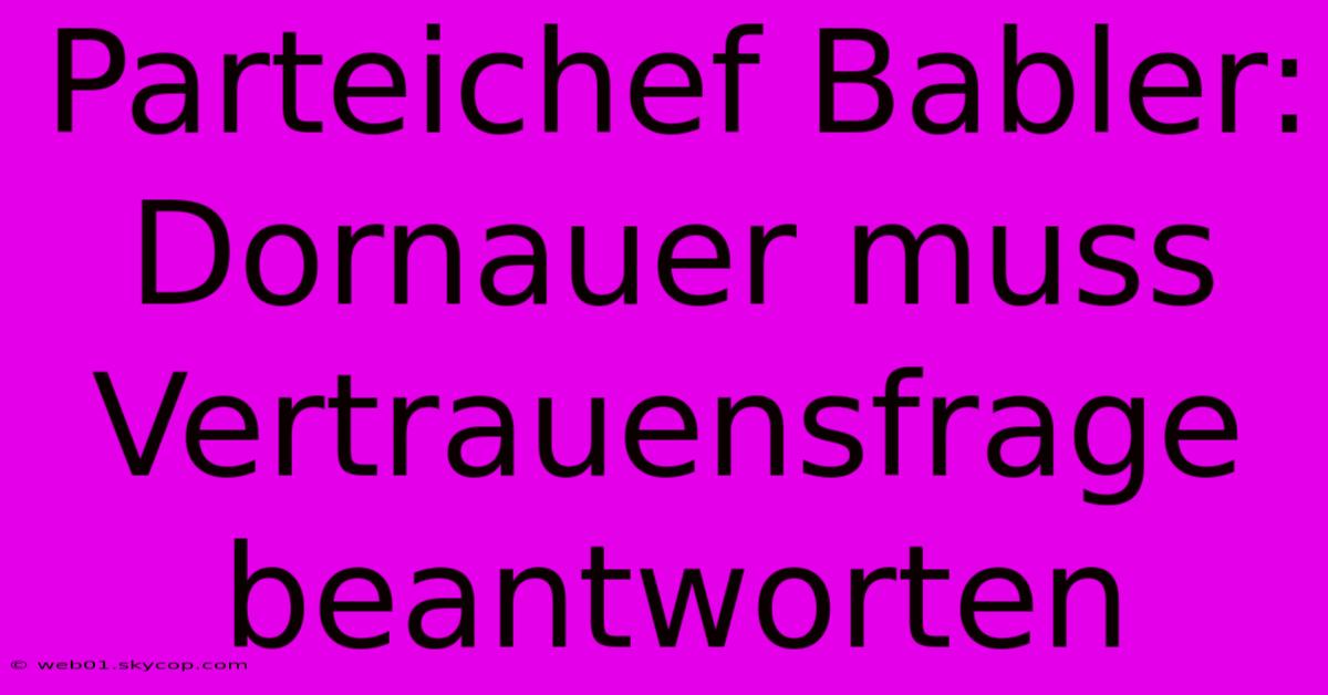 Parteichef Babler: Dornauer Muss Vertrauensfrage Beantworten 