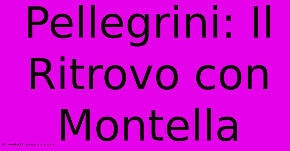 Pellegrini: Il Ritrovo Con Montella