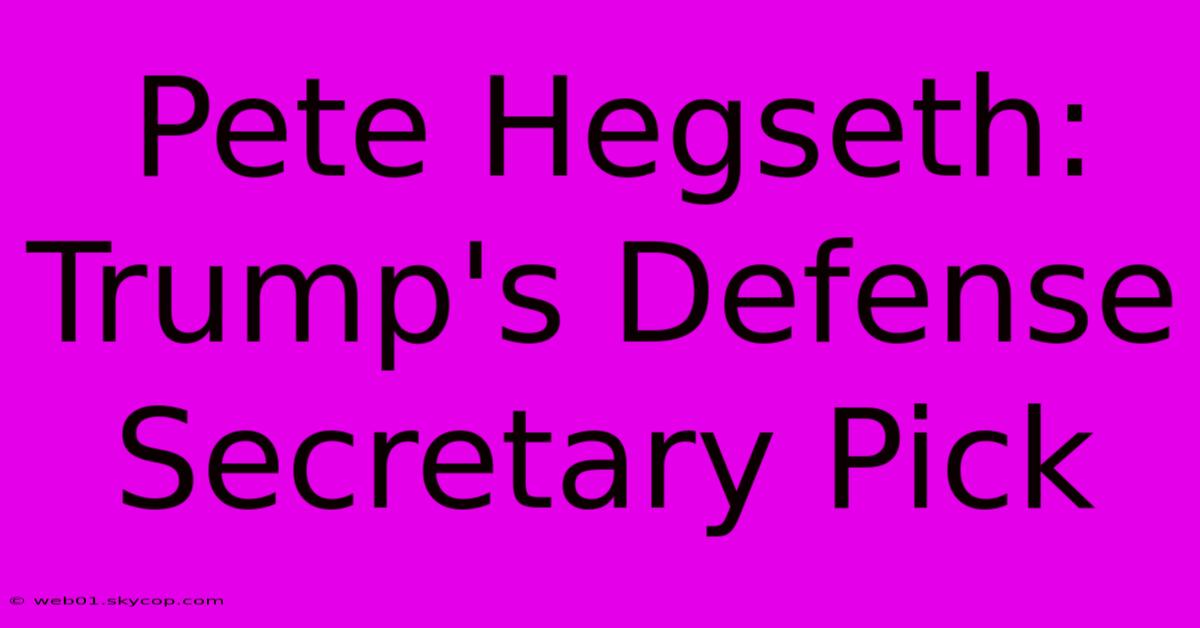 Pete Hegseth: Trump's Defense Secretary Pick