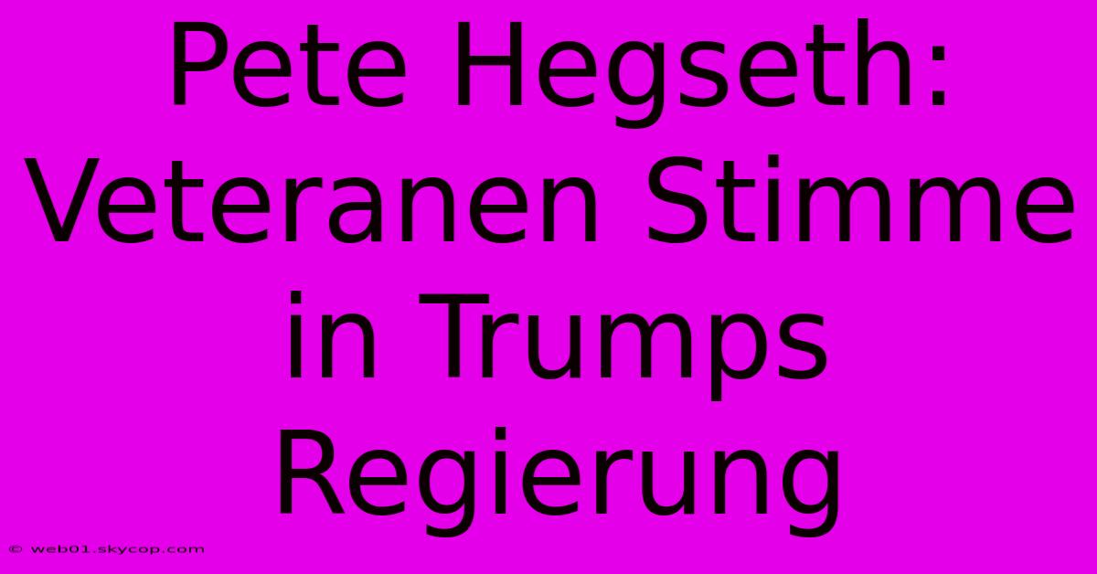 Pete Hegseth: Veteranen Stimme In Trumps Regierung 