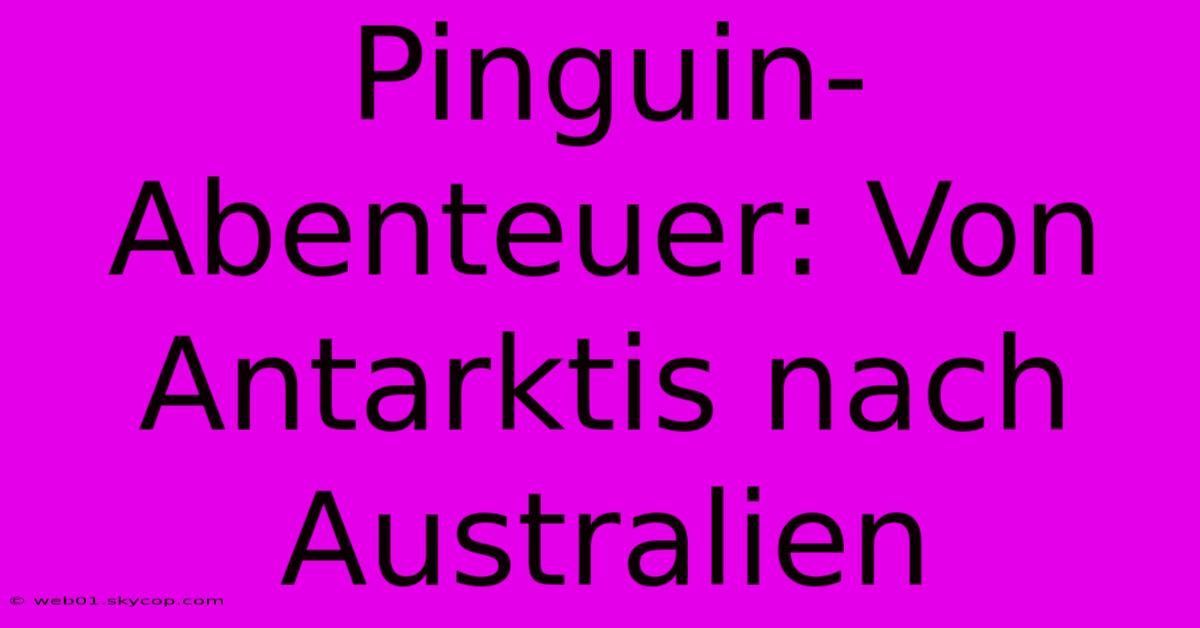 Pinguin-Abenteuer: Von Antarktis Nach Australien