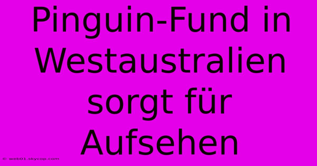 Pinguin-Fund In Westaustralien Sorgt Für Aufsehen 