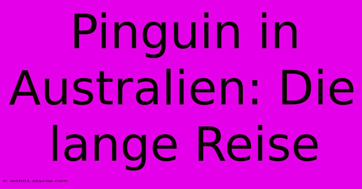 Pinguin In Australien: Die Lange Reise