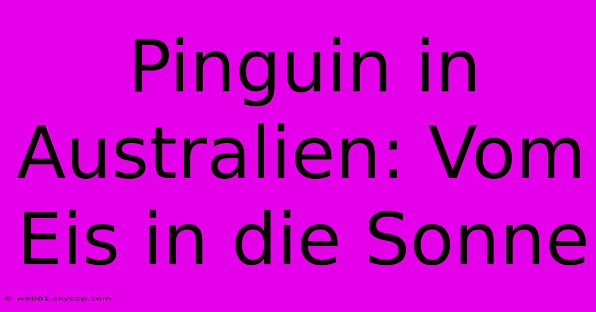 Pinguin In Australien: Vom Eis In Die Sonne