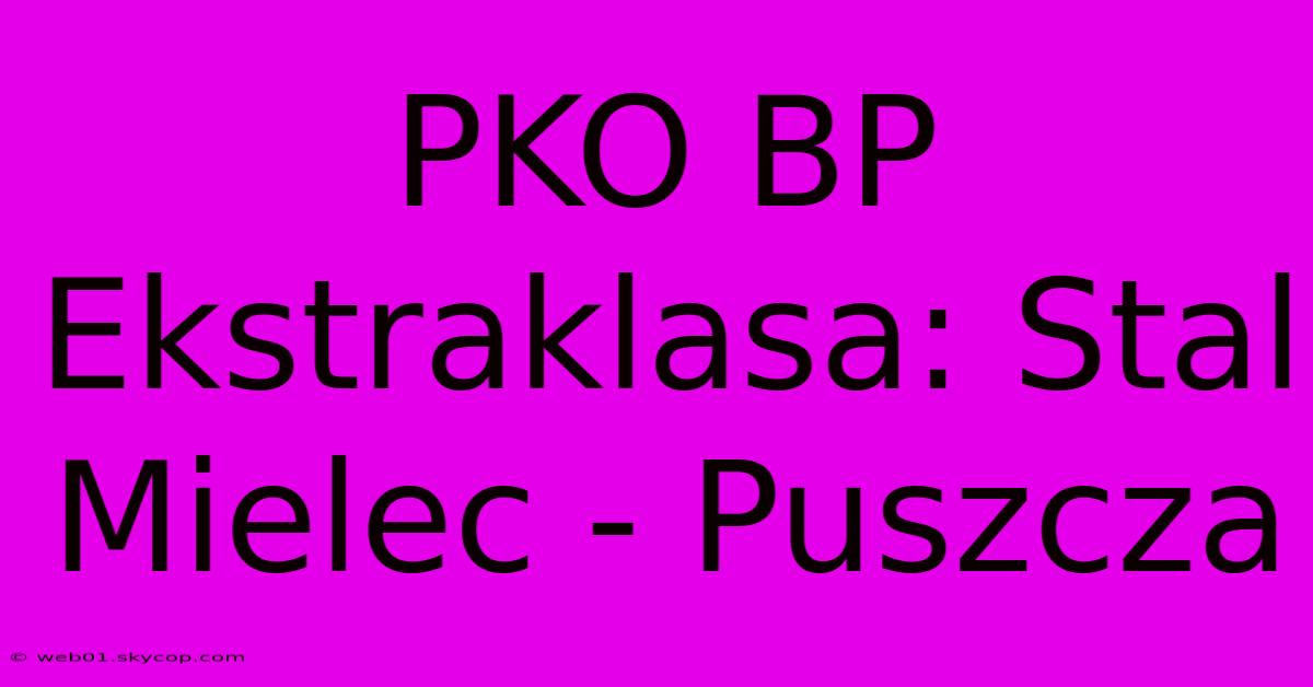 PKO BP Ekstraklasa: Stal Mielec - Puszcza