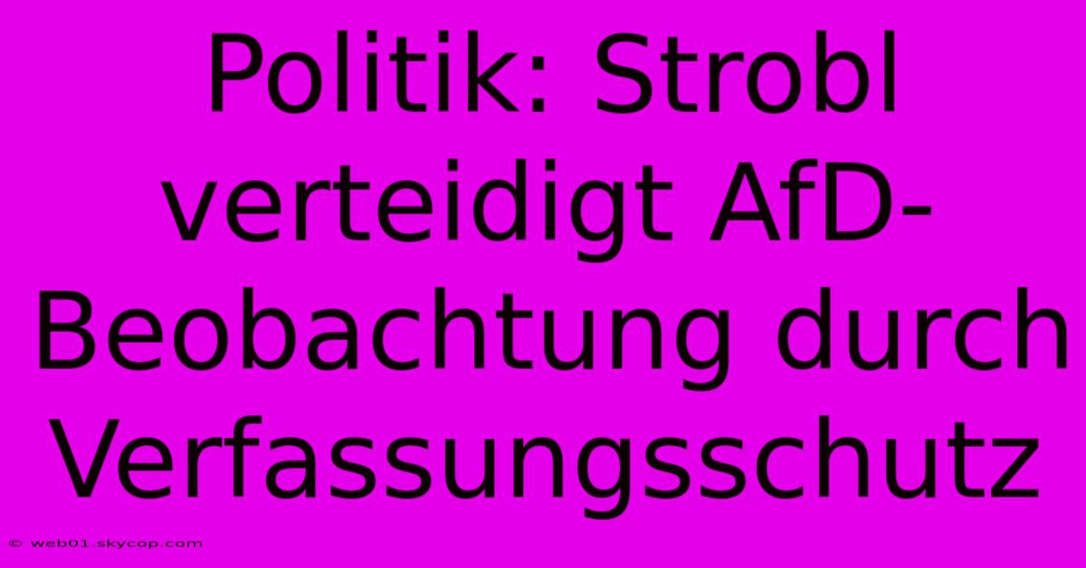 Politik: Strobl Verteidigt AfD-Beobachtung Durch Verfassungsschutz