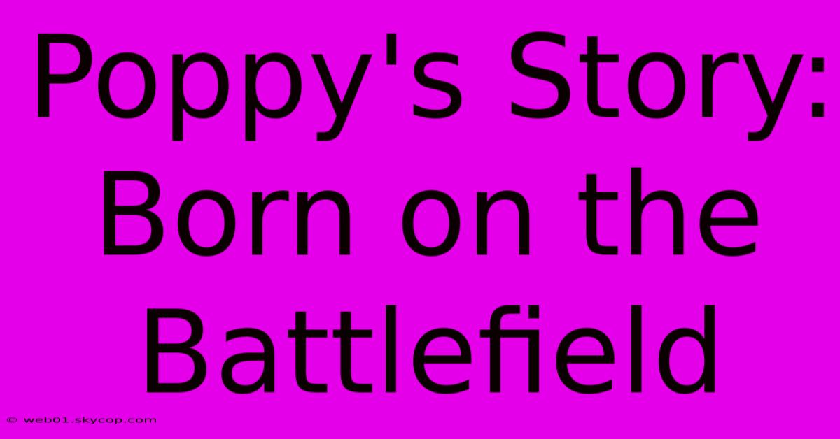 Poppy's Story: Born On The Battlefield 