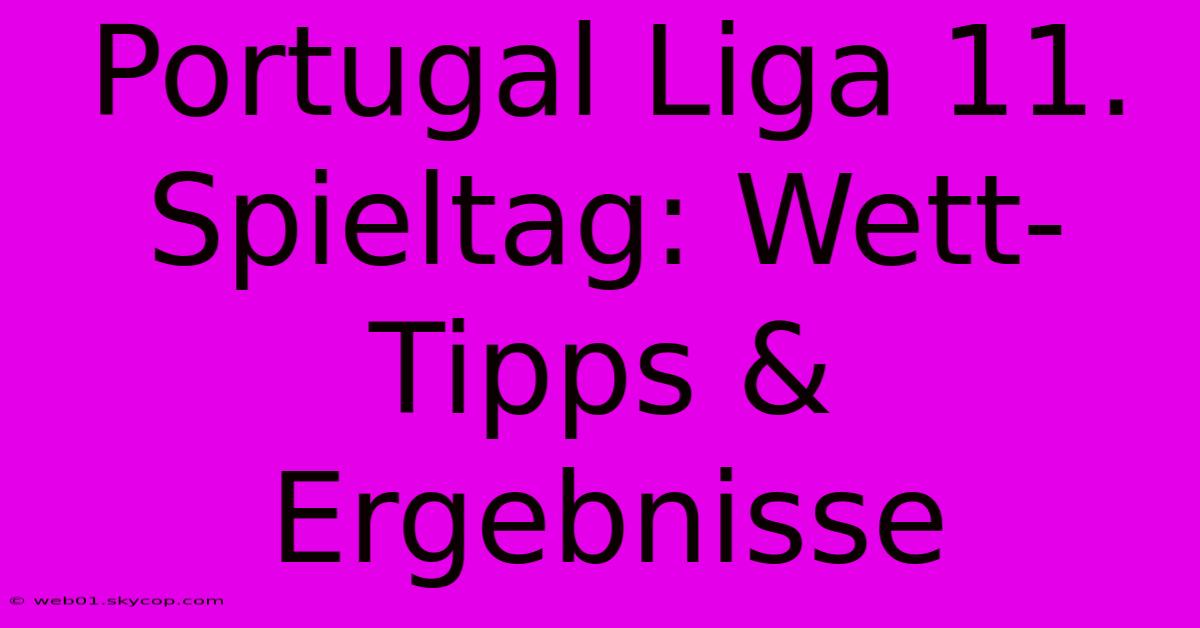 Portugal Liga 11. Spieltag: Wett-Tipps & Ergebnisse