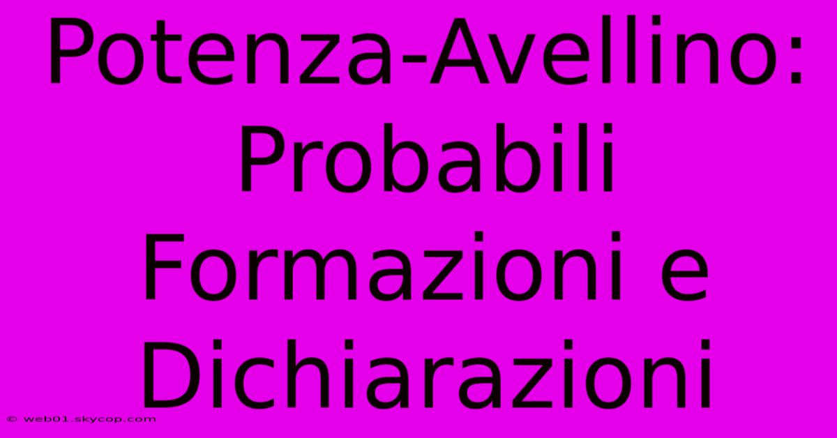 Potenza-Avellino: Probabili Formazioni E Dichiarazioni