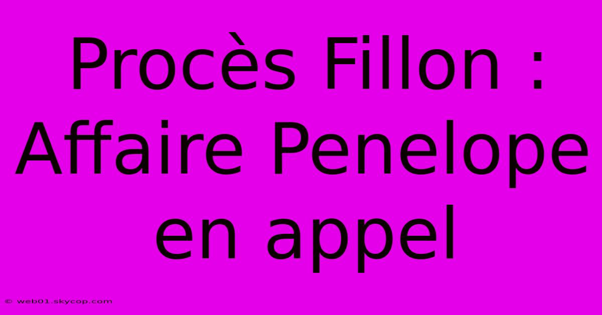 Procès Fillon : Affaire Penelope En Appel