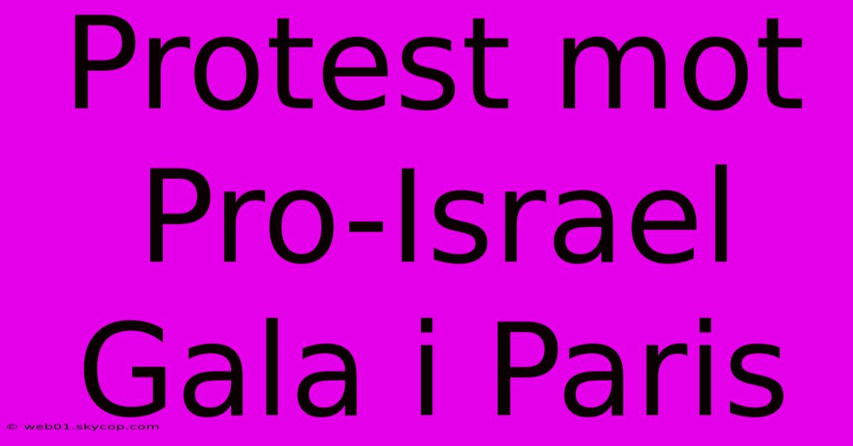 Protest Mot Pro-Israel Gala I Paris