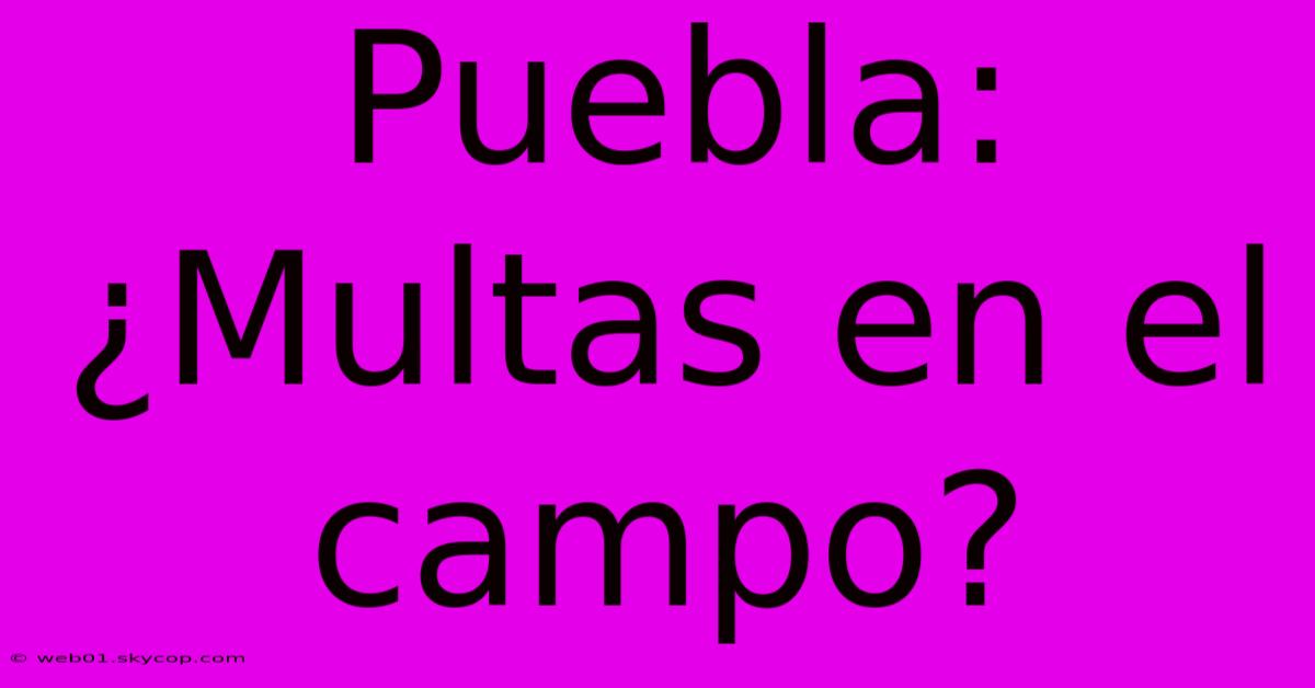 Puebla: ¿Multas En El Campo? 