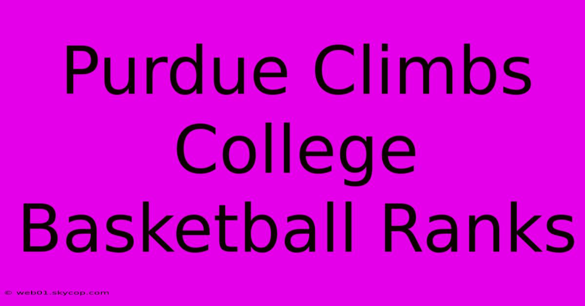 Purdue Climbs College Basketball Ranks