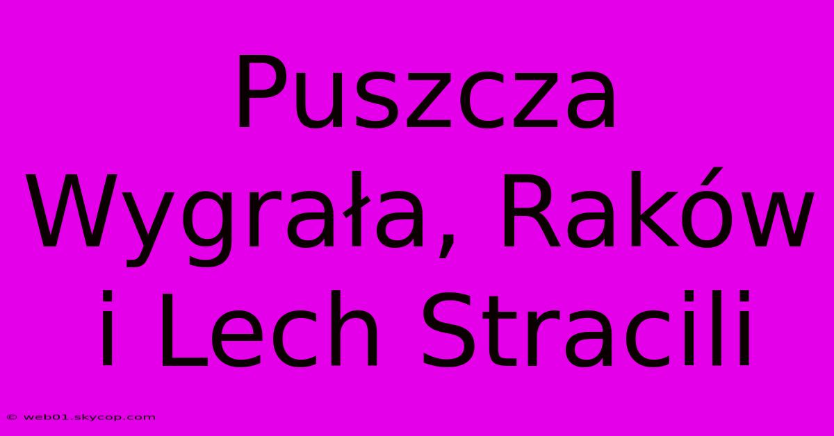 Puszcza Wygrała, Raków I Lech Stracili