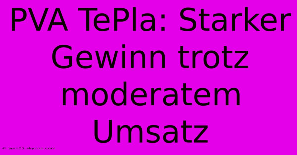 PVA TePla: Starker Gewinn Trotz Moderatem Umsatz