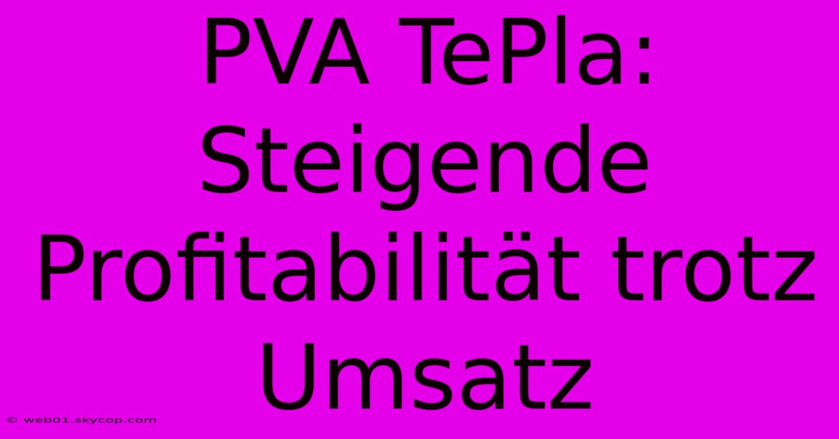 PVA TePla: Steigende Profitabilität Trotz Umsatz