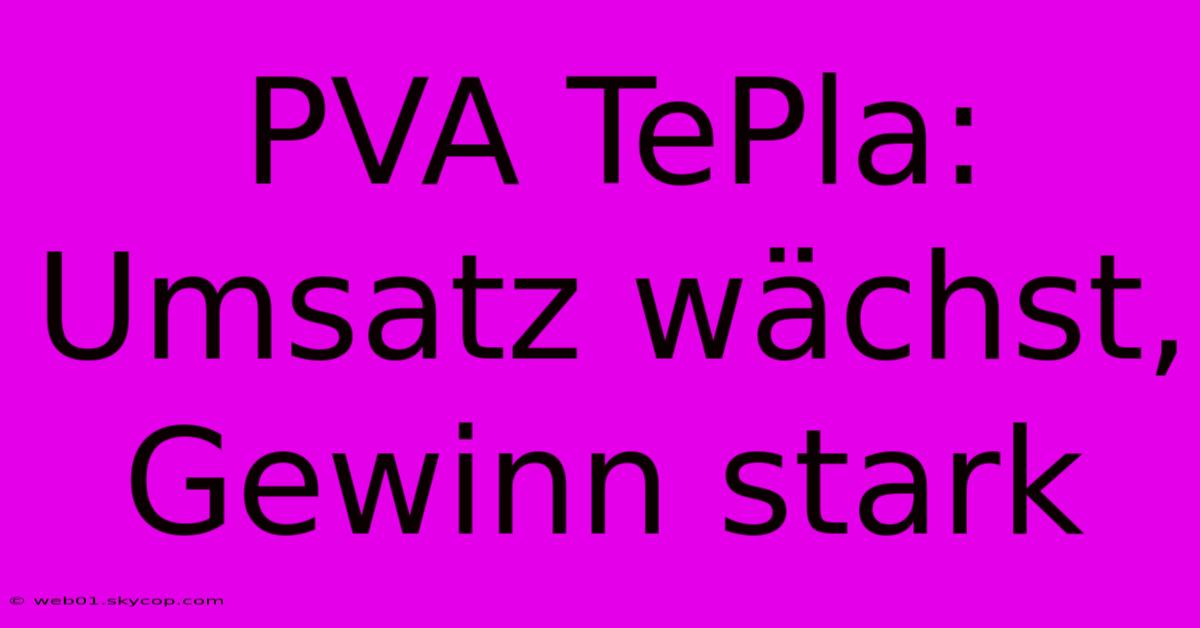 PVA TePla: Umsatz Wächst, Gewinn Stark