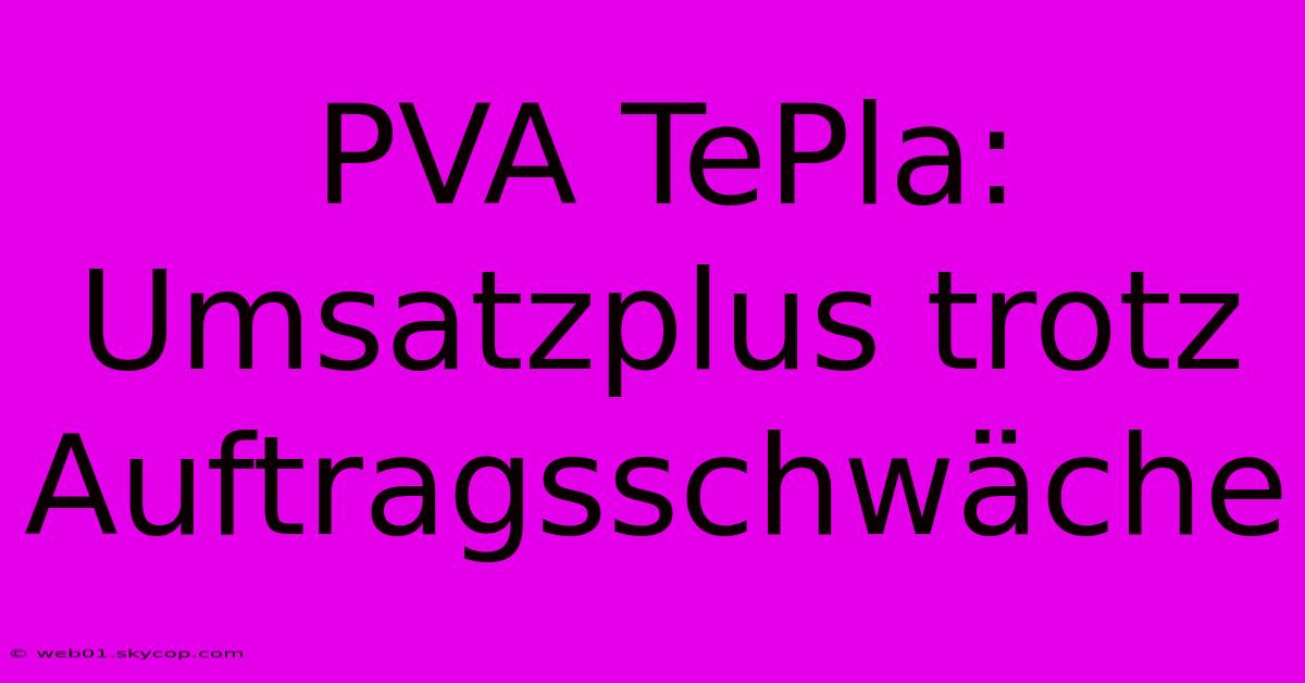 PVA TePla: Umsatzplus Trotz Auftragsschwäche