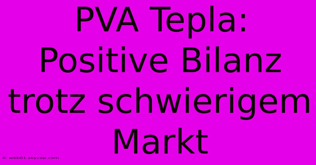 PVA Tepla: Positive Bilanz Trotz Schwierigem Markt