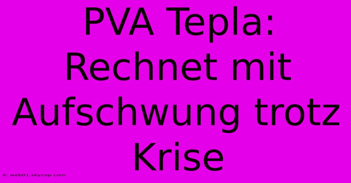 PVA Tepla: Rechnet Mit Aufschwung Trotz Krise