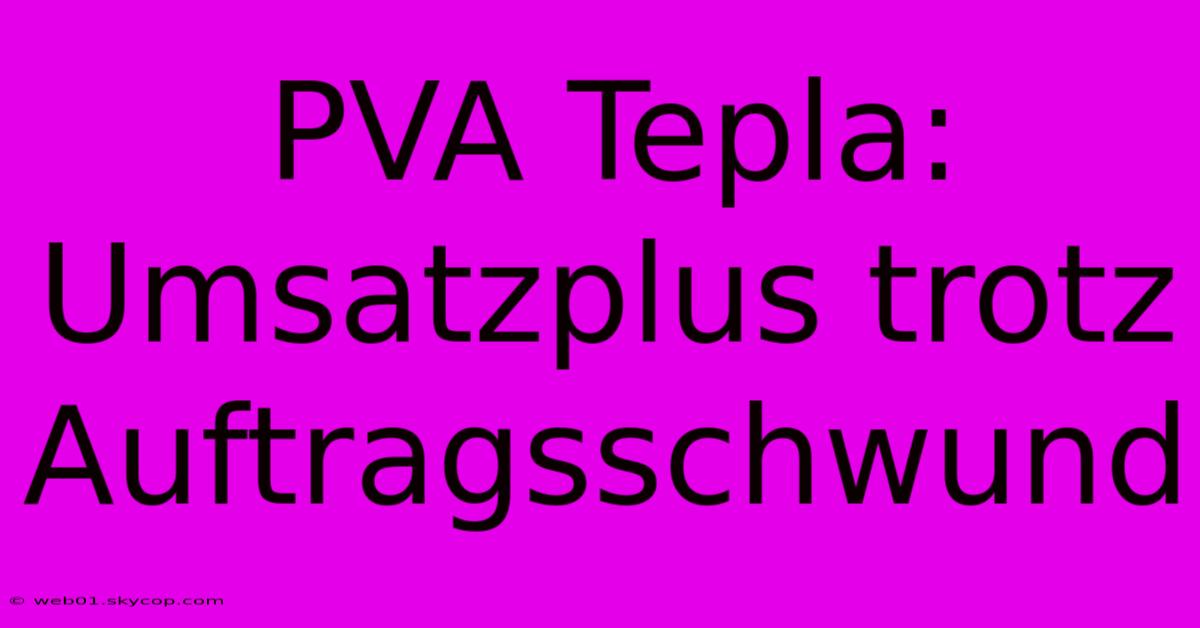 PVA Tepla: Umsatzplus Trotz Auftragsschwund