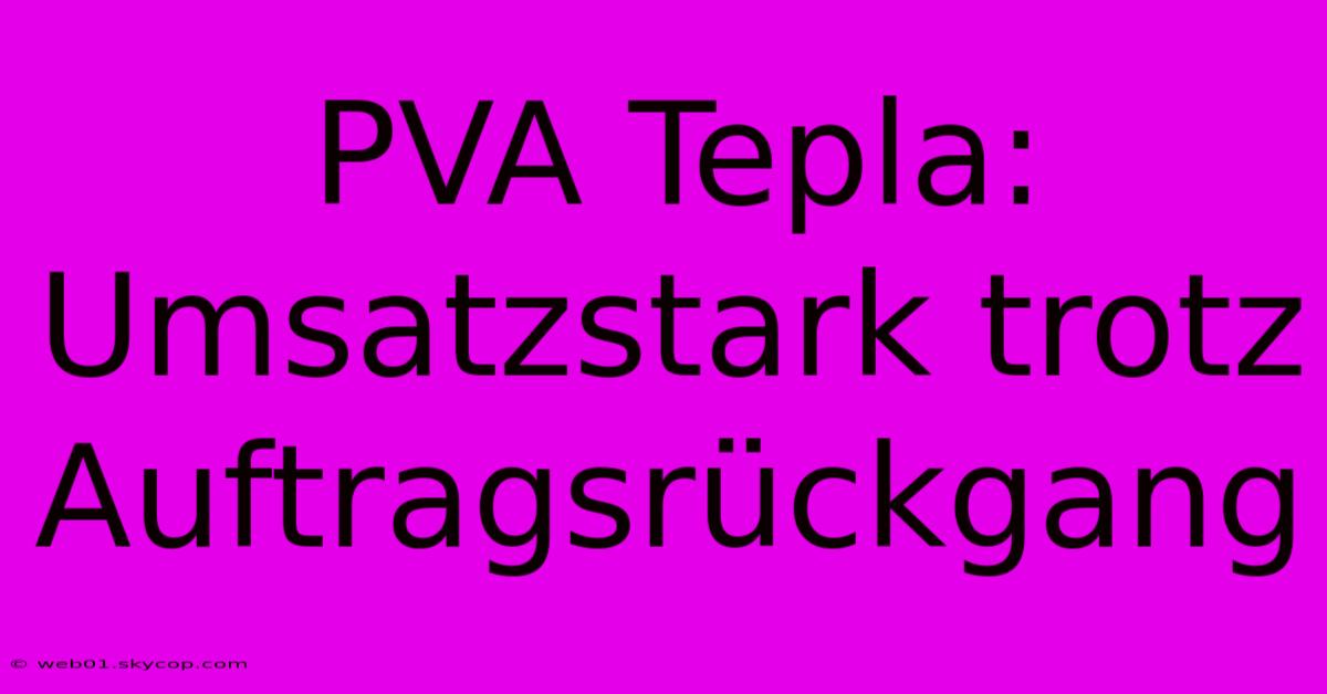 PVA Tepla: Umsatzstark Trotz Auftragsrückgang