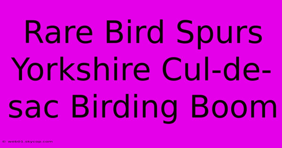 Rare Bird Spurs Yorkshire Cul-de-sac Birding Boom