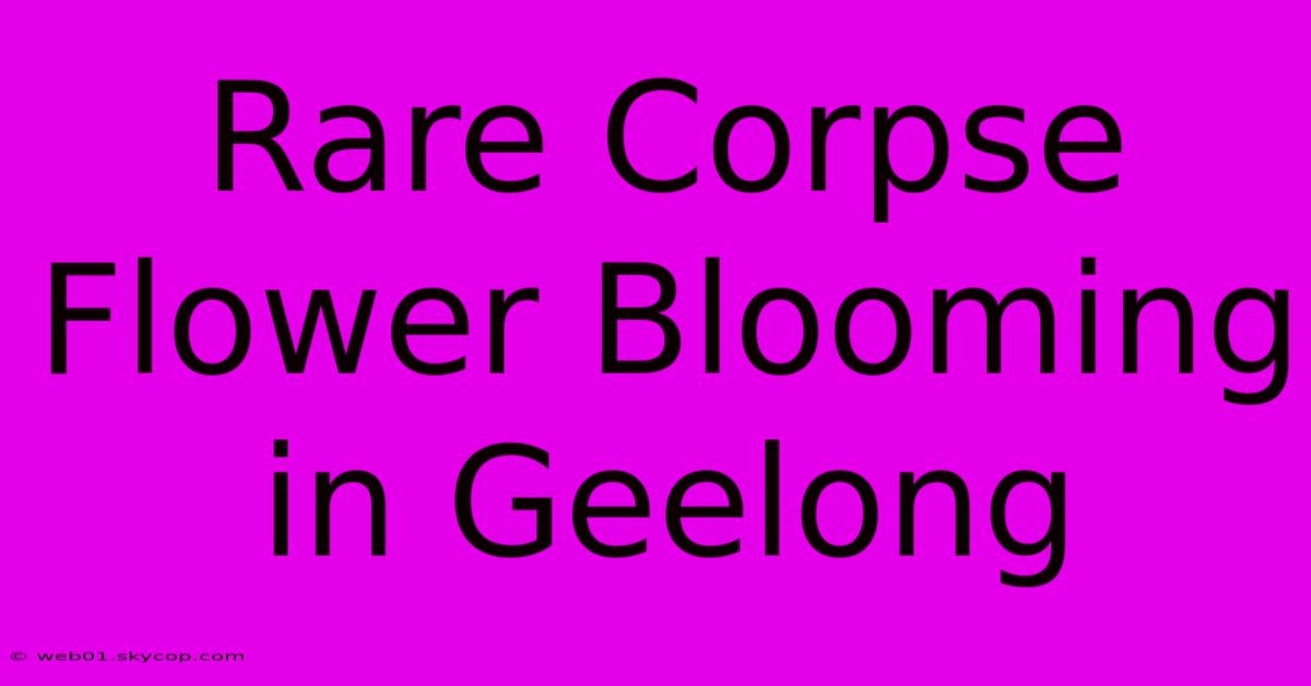 Rare Corpse Flower Blooming In Geelong