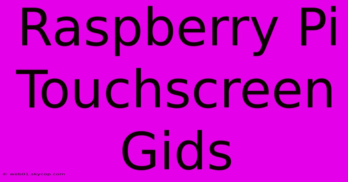 Raspberry Pi Touchscreen Gids