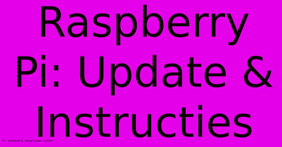 Raspberry Pi: Update & Instructies