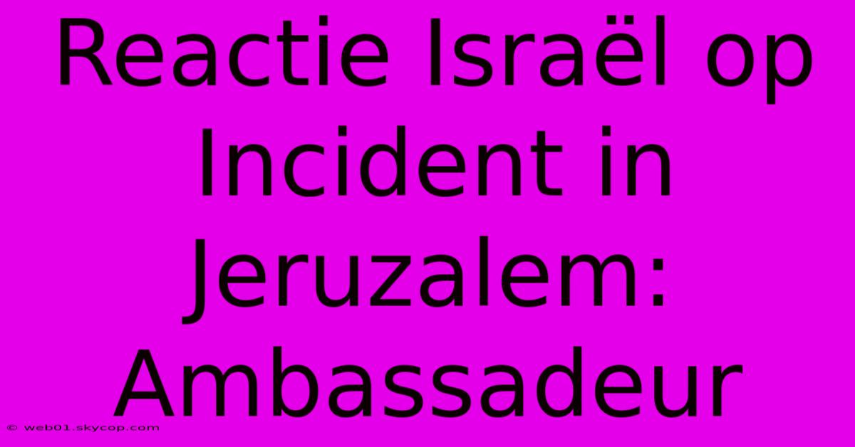 Reactie Israël Op Incident In Jeruzalem: Ambassadeur