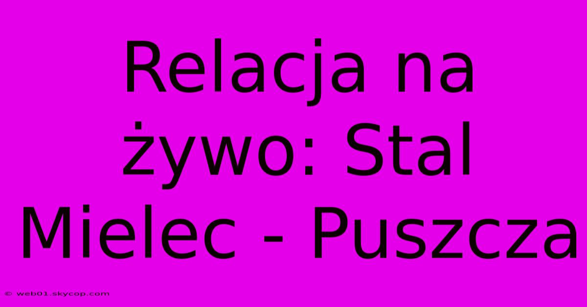 Relacja Na Żywo: Stal Mielec - Puszcza