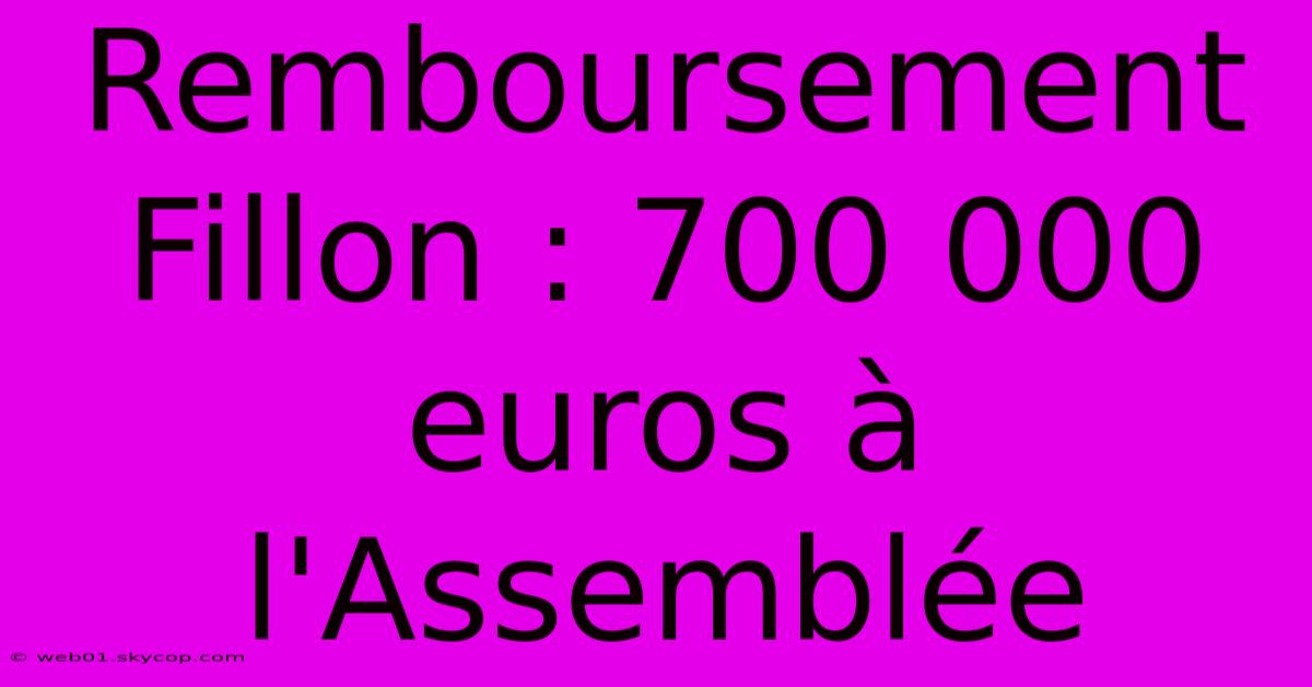 Remboursement Fillon : 700 000 Euros À L'Assemblée