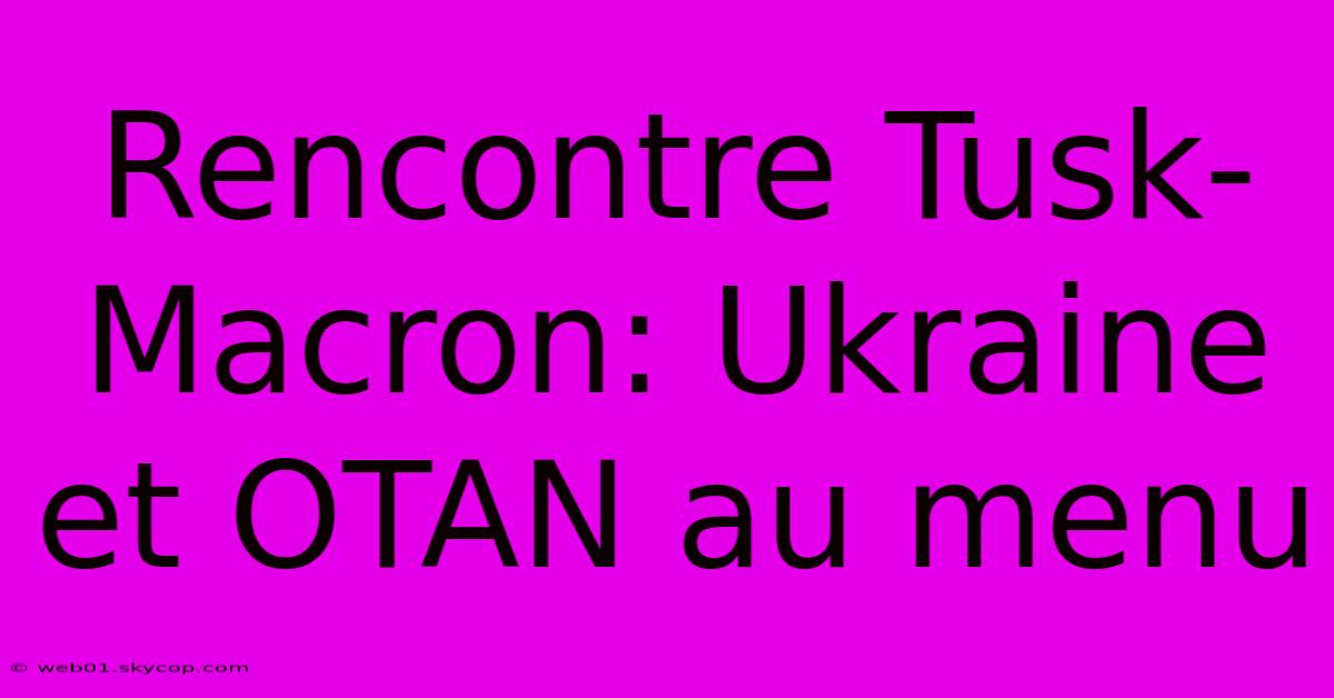 Rencontre Tusk-Macron: Ukraine Et OTAN Au Menu