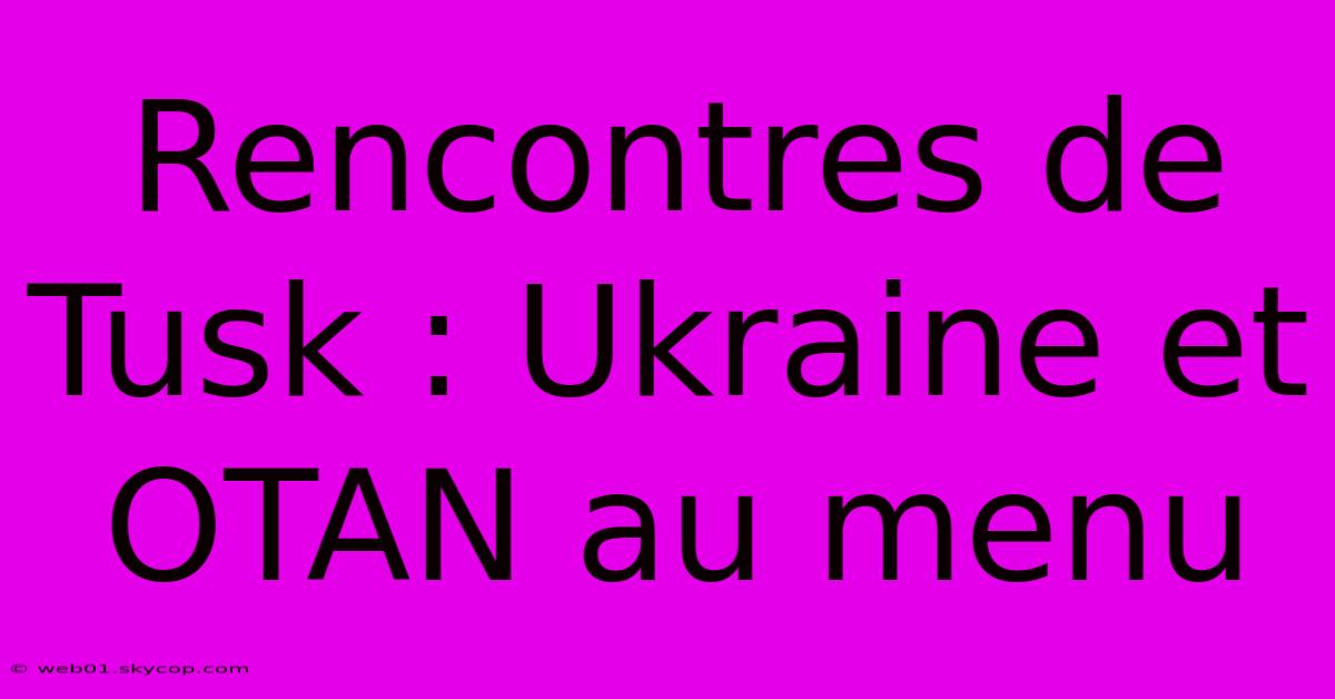 Rencontres De Tusk : Ukraine Et OTAN Au Menu