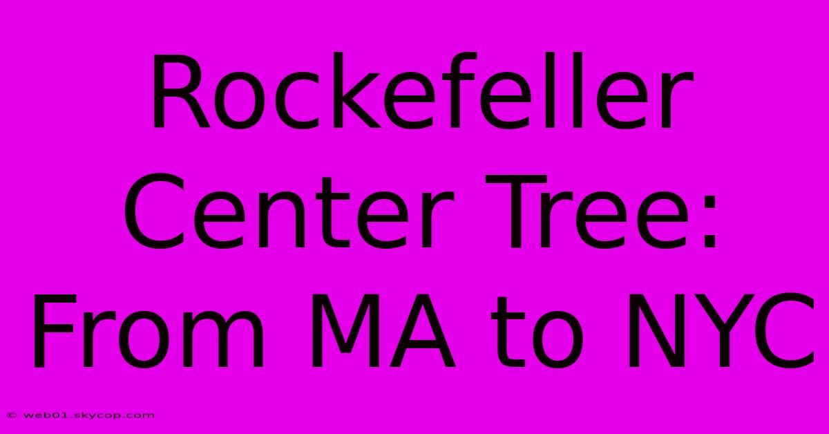 Rockefeller Center Tree: From MA To NYC 