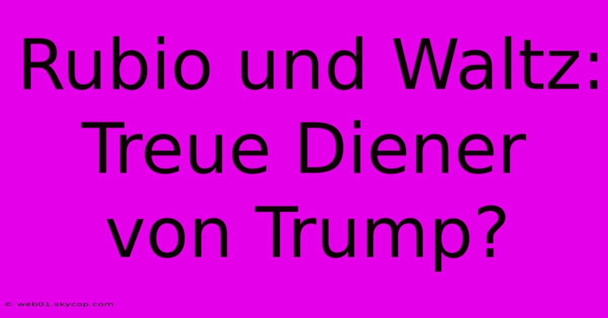 Rubio Und Waltz: Treue Diener Von Trump?