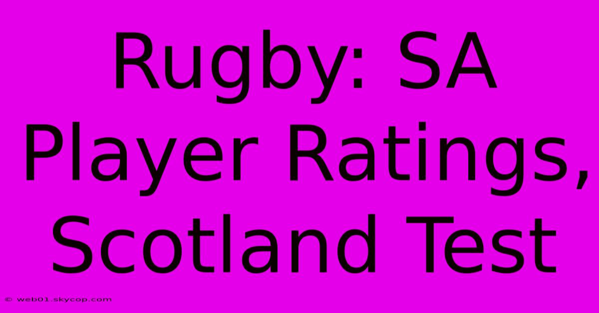 Rugby: SA Player Ratings, Scotland Test 