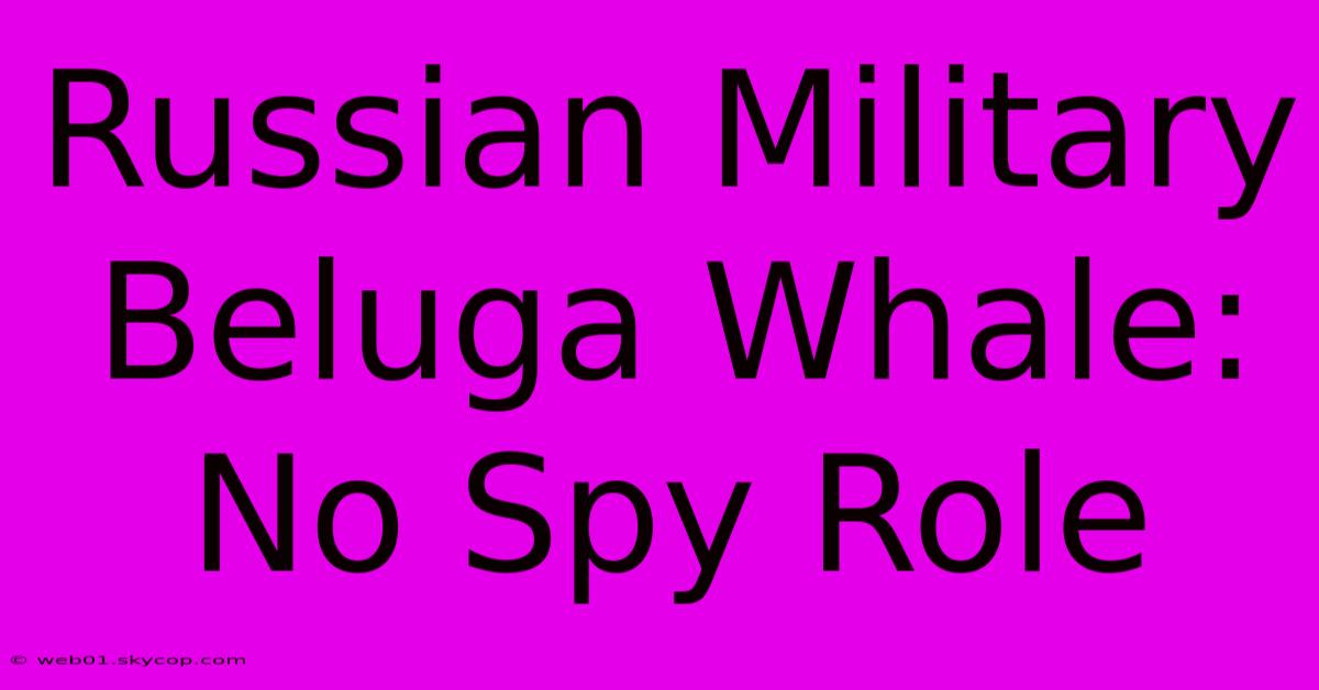 Russian Military Beluga Whale: No Spy Role