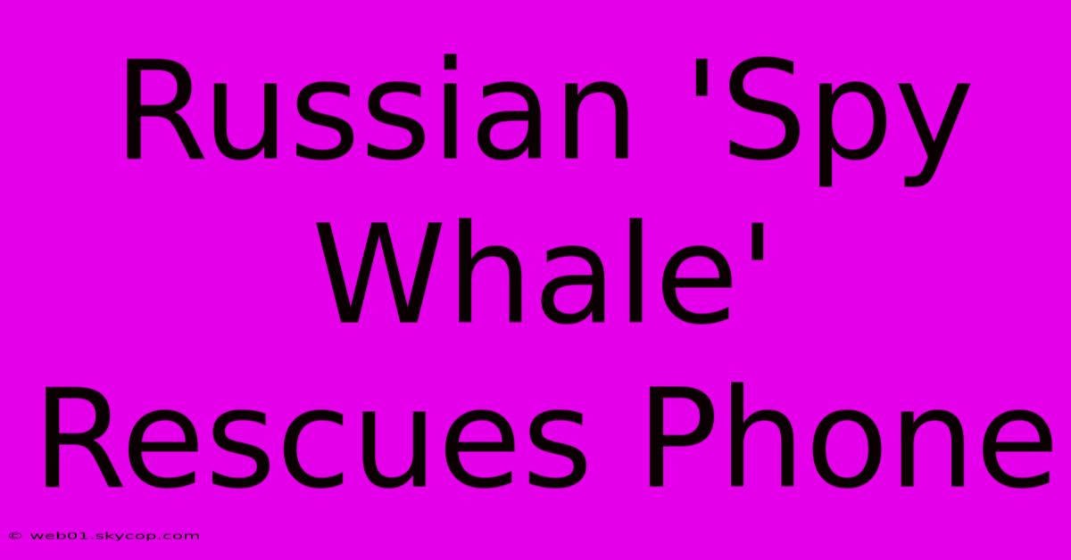 Russian 'Spy Whale' Rescues Phone