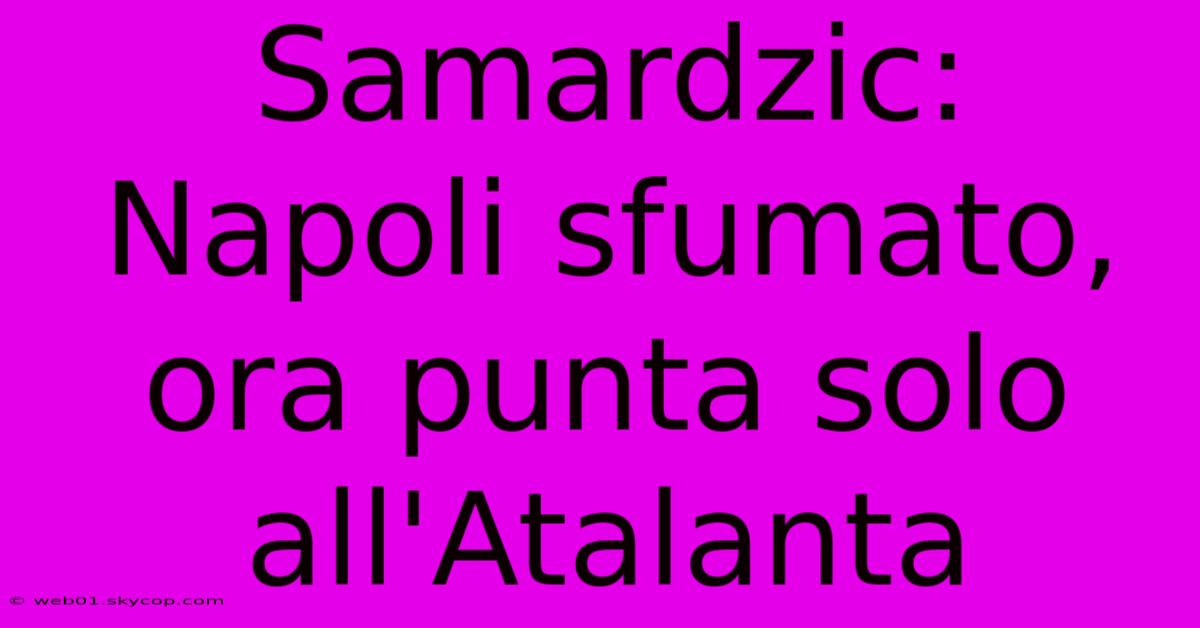 Samardzic: Napoli Sfumato, Ora Punta Solo All'Atalanta