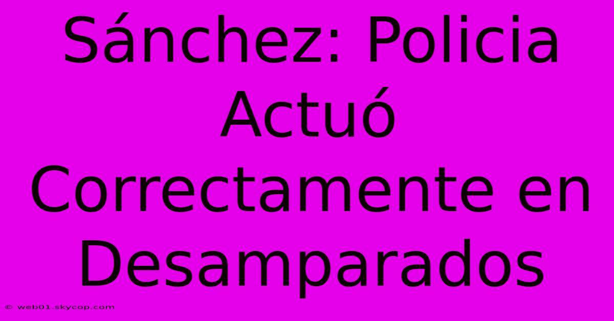 Sánchez: Policia Actuó Correctamente En Desamparados 