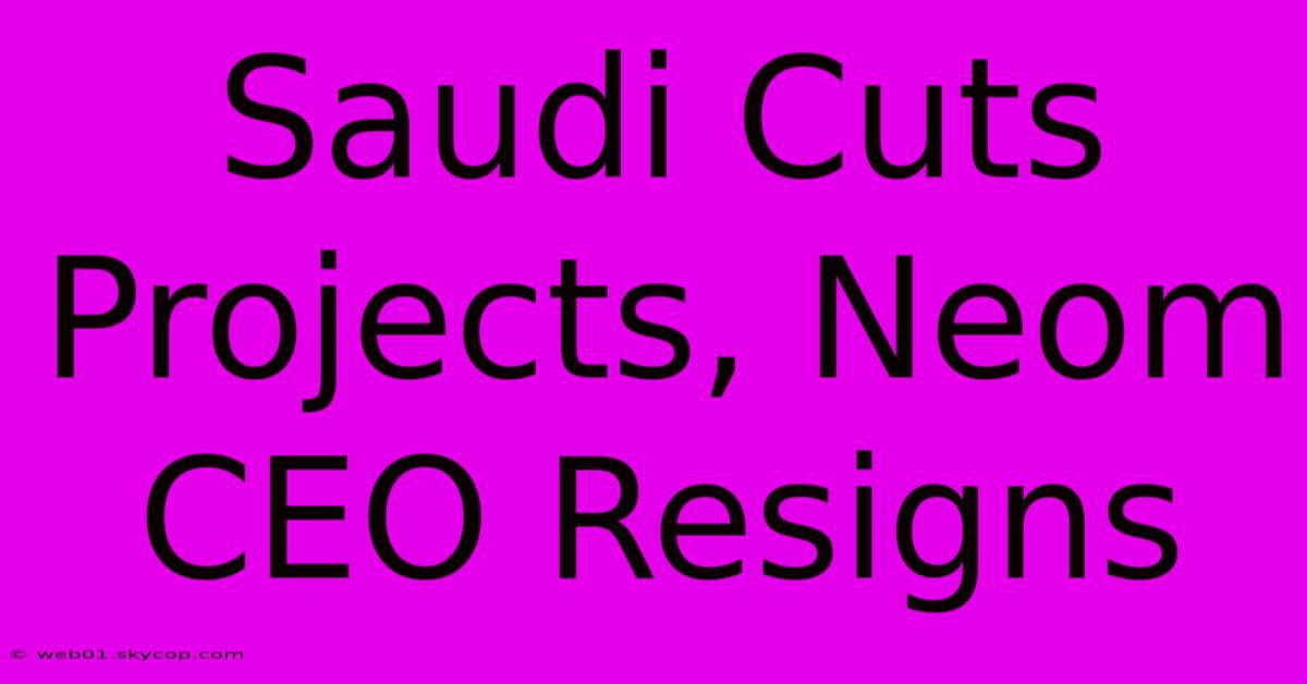 Saudi Cuts Projects, Neom CEO Resigns