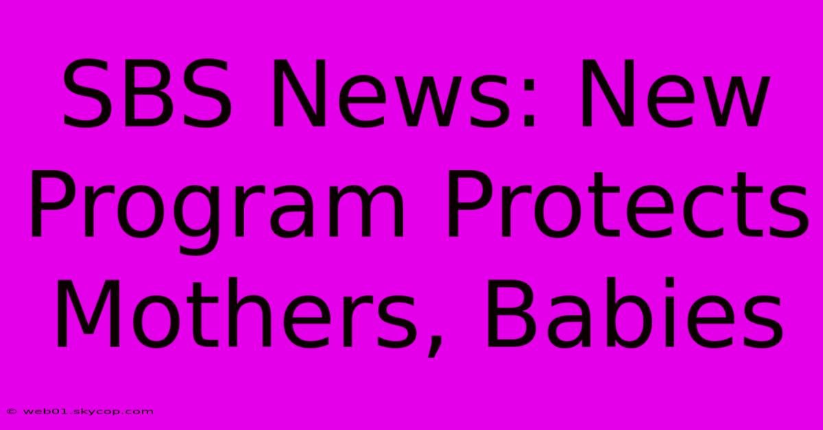 SBS News: New Program Protects Mothers, Babies