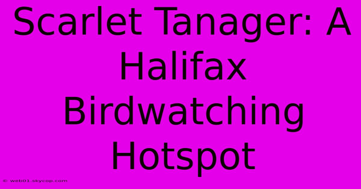 Scarlet Tanager: A Halifax Birdwatching Hotspot 