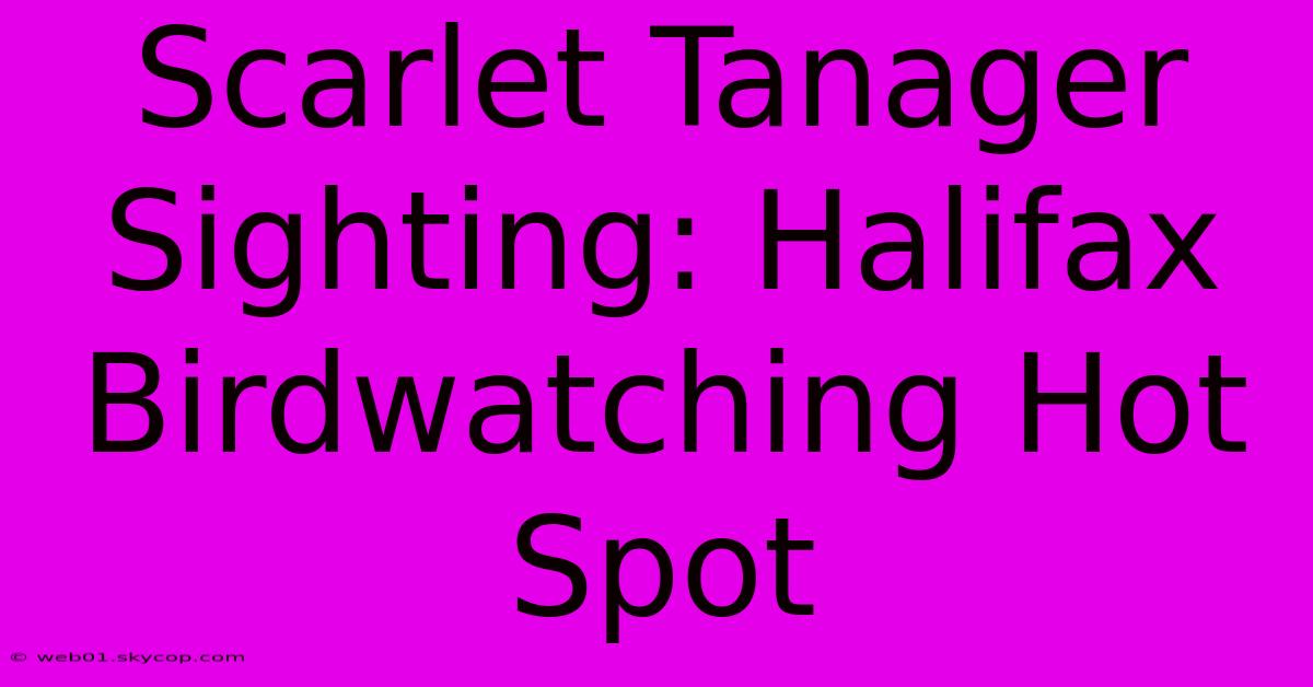 Scarlet Tanager Sighting: Halifax Birdwatching Hot Spot